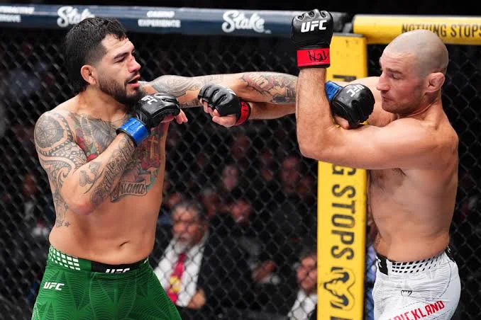 Champions MMA actuels : UFC, PFL, ONE, KSW, Hexagone, ARES