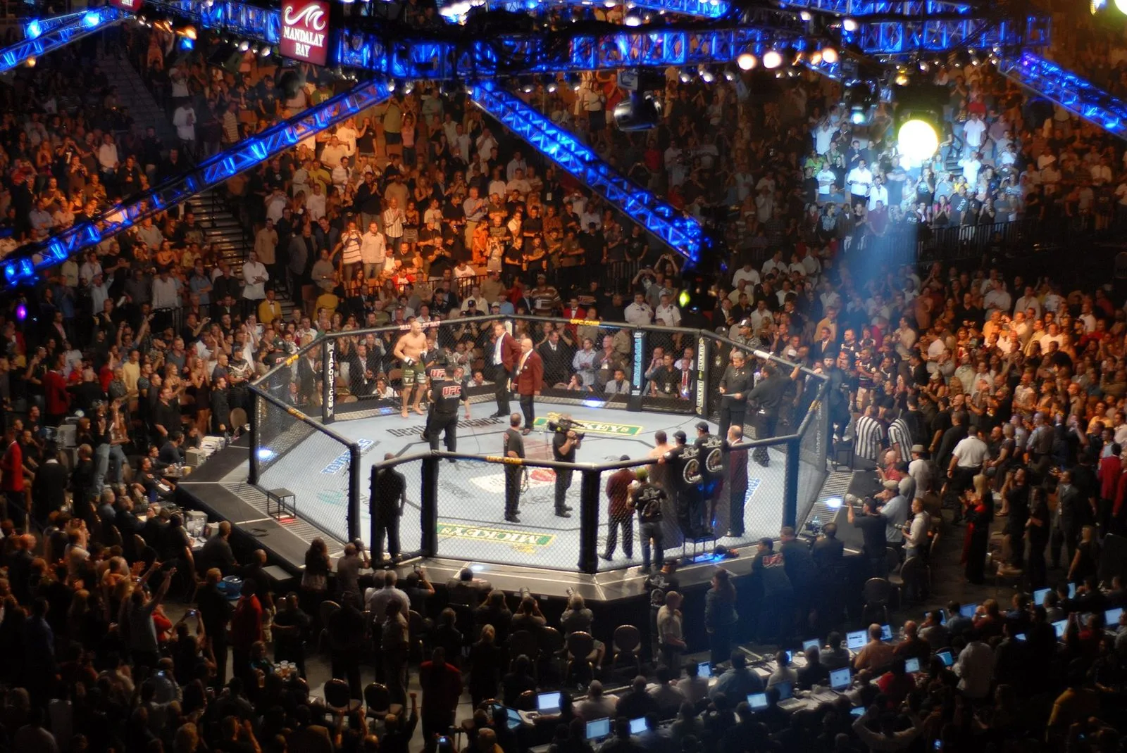 Octogone UFC, illustration UFC 334 au Madison Square Garden