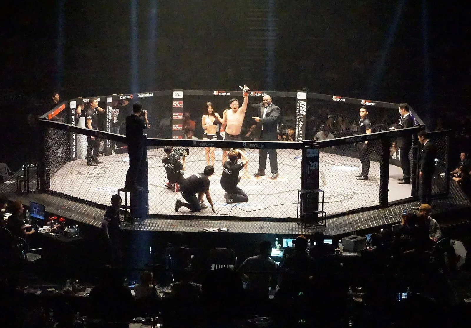 Hexagone MMA à Rouen : 12 septembre 2026, Baybatyrov vs Trivunović