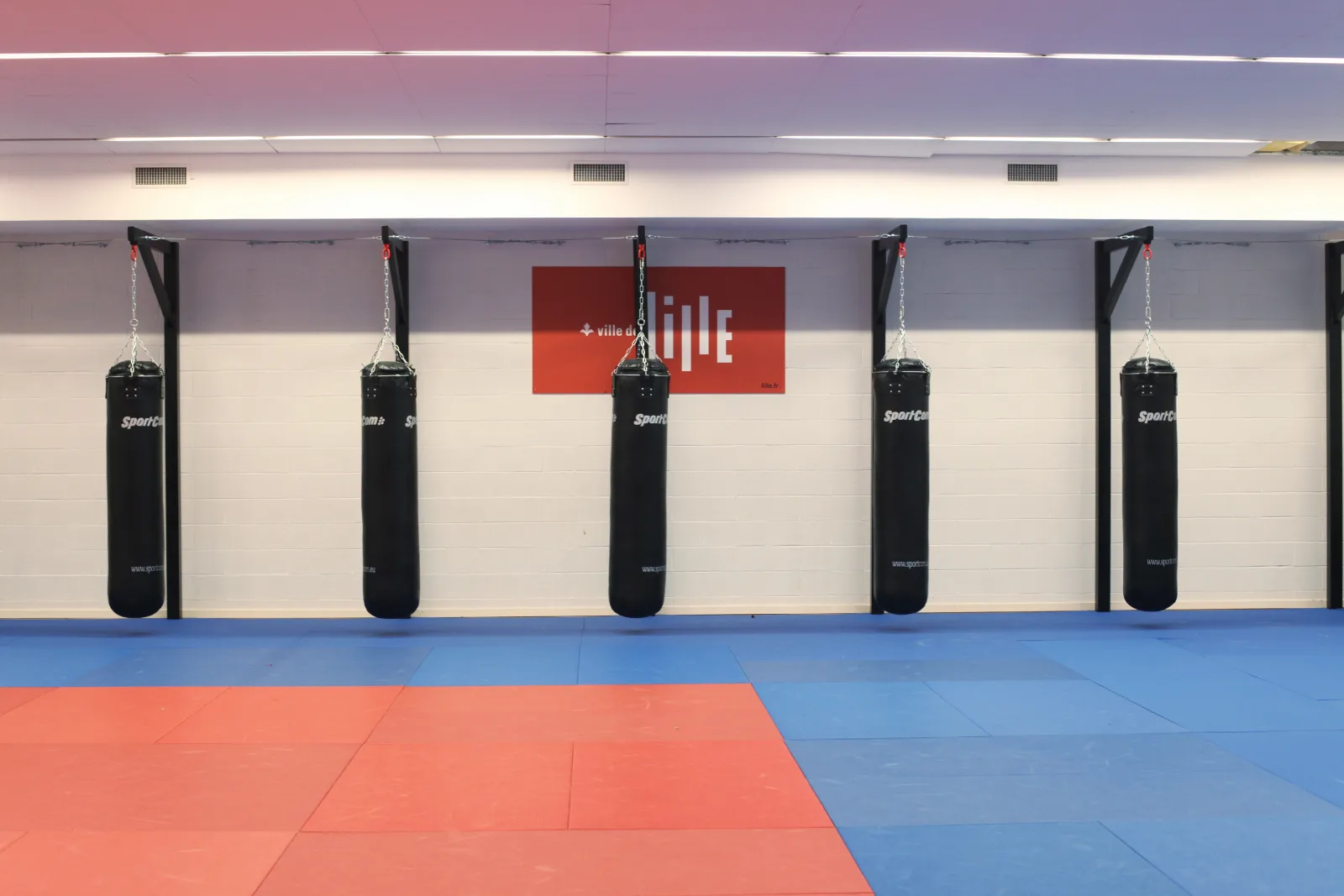 Les clubs de MMA français