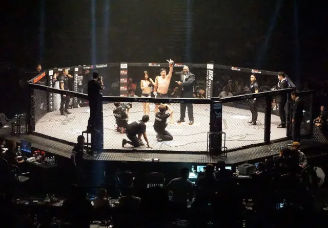 Hexagone MMA à Rouen : 12 septembre 2026, Baybatyrov vs Trivunović